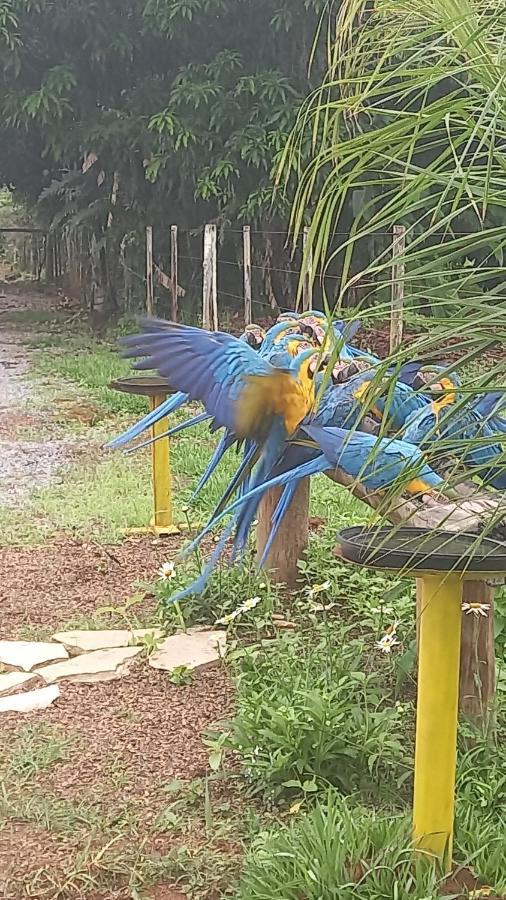 Pousada Canto Dos Passaros Alto Paraíso de Goiás Exteriör bild