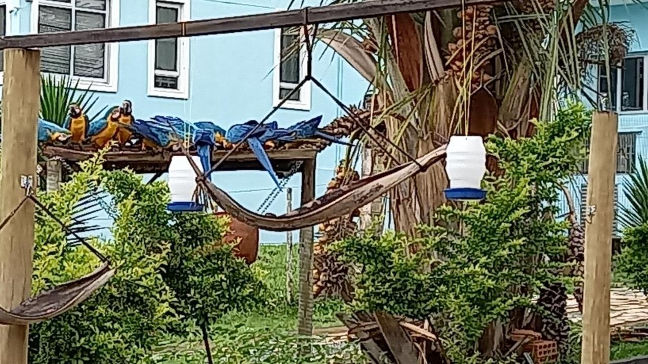 Pousada Canto Dos Passaros Alto Paraíso de Goiás Exteriör bild