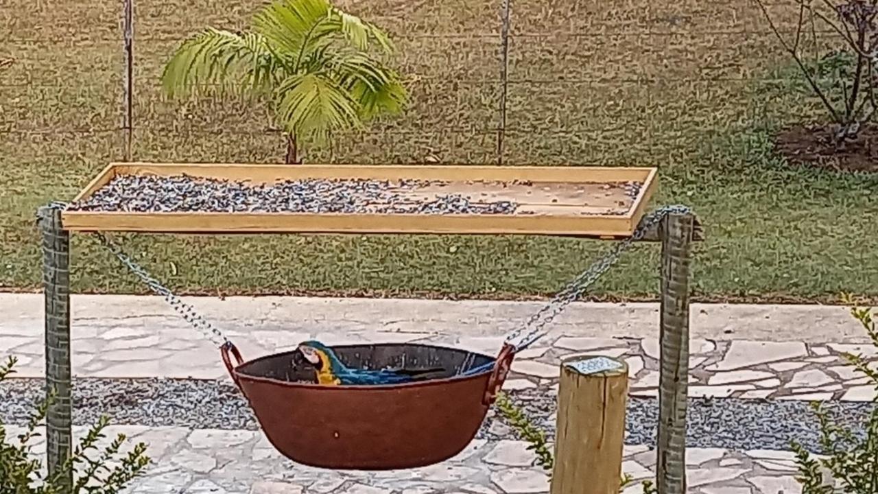 Pousada Canto Dos Passaros Alto Paraíso de Goiás Exteriör bild